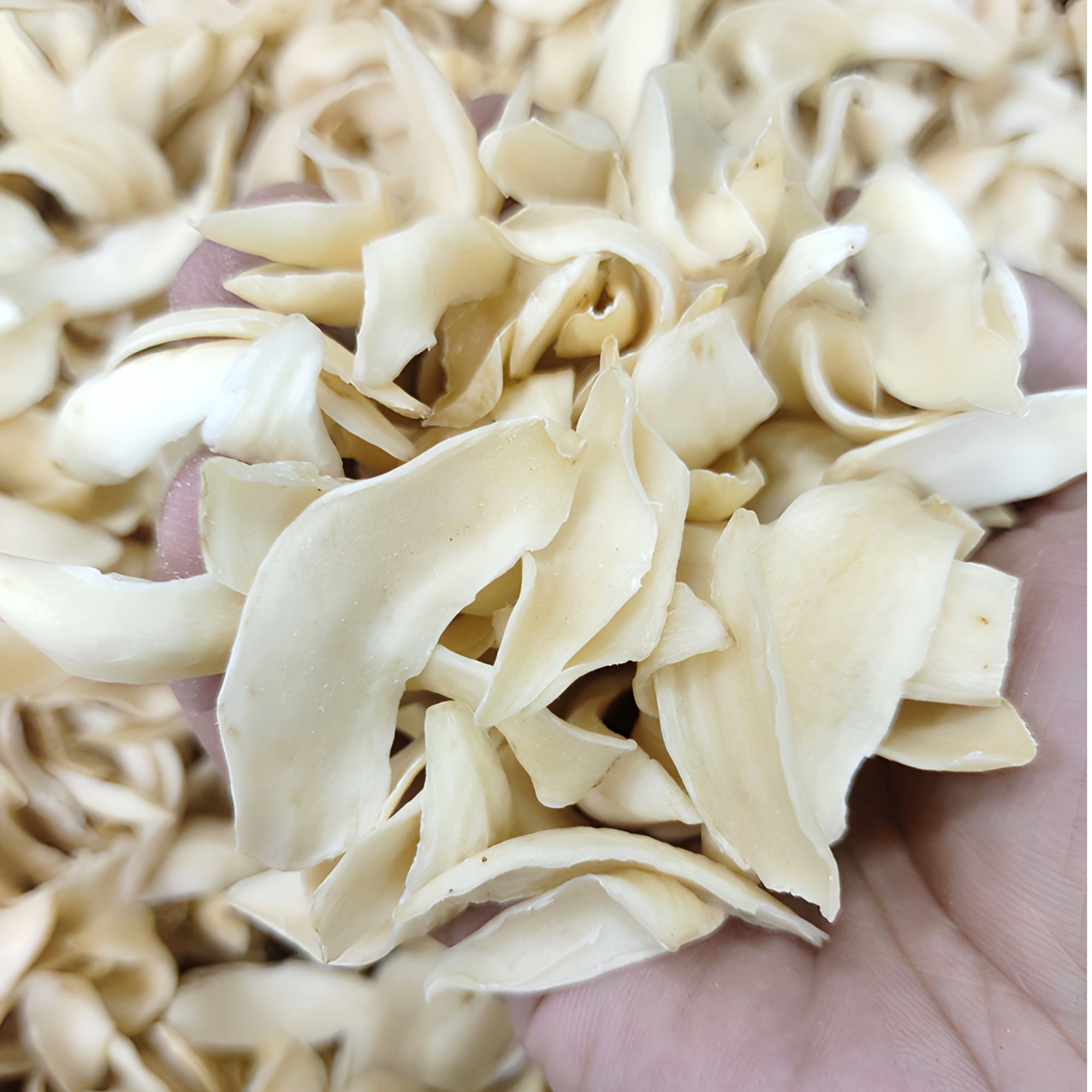 龙牙百合干250g传统滋补