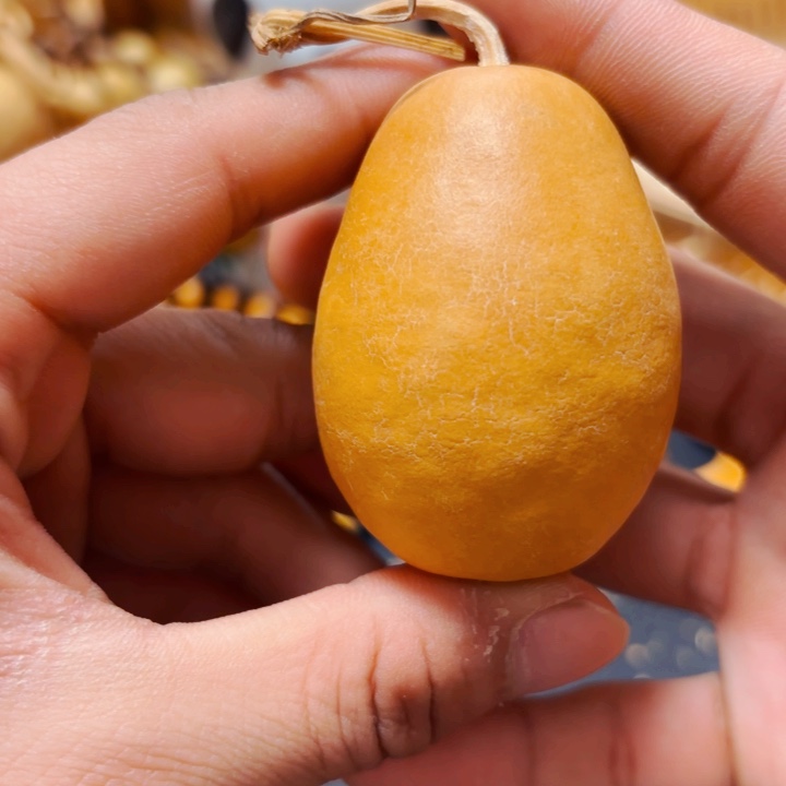 雷*8888888888888888888