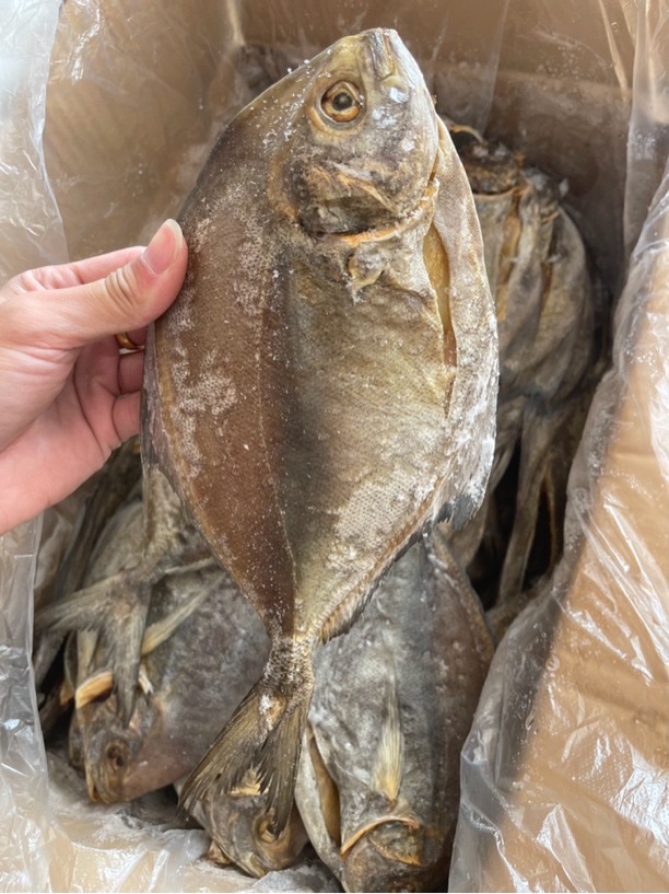 汕尾马宫本港船晒乌鲳鱼干 微咸鱼干，现称现拍