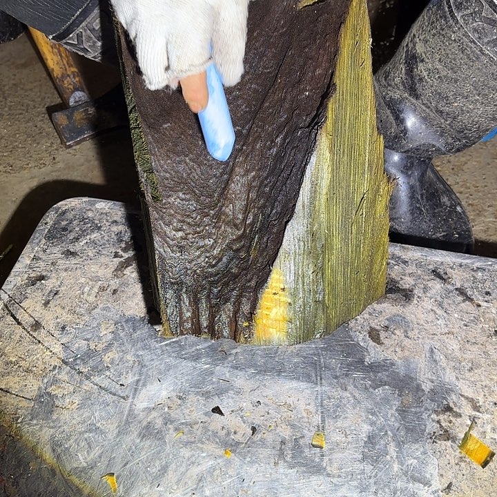 从***后啊啊啊啊啊啊啊啊啊