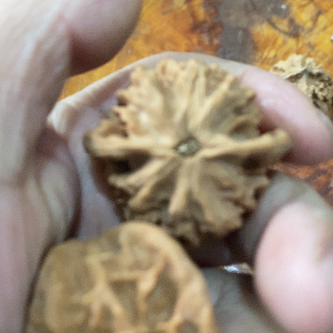 秦岭南侧和东北北部分别