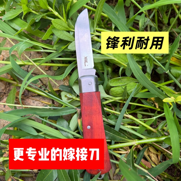嫁接刀折叠刀果树花卉盆景金弹子嫁接刀园艺嫁接刀
