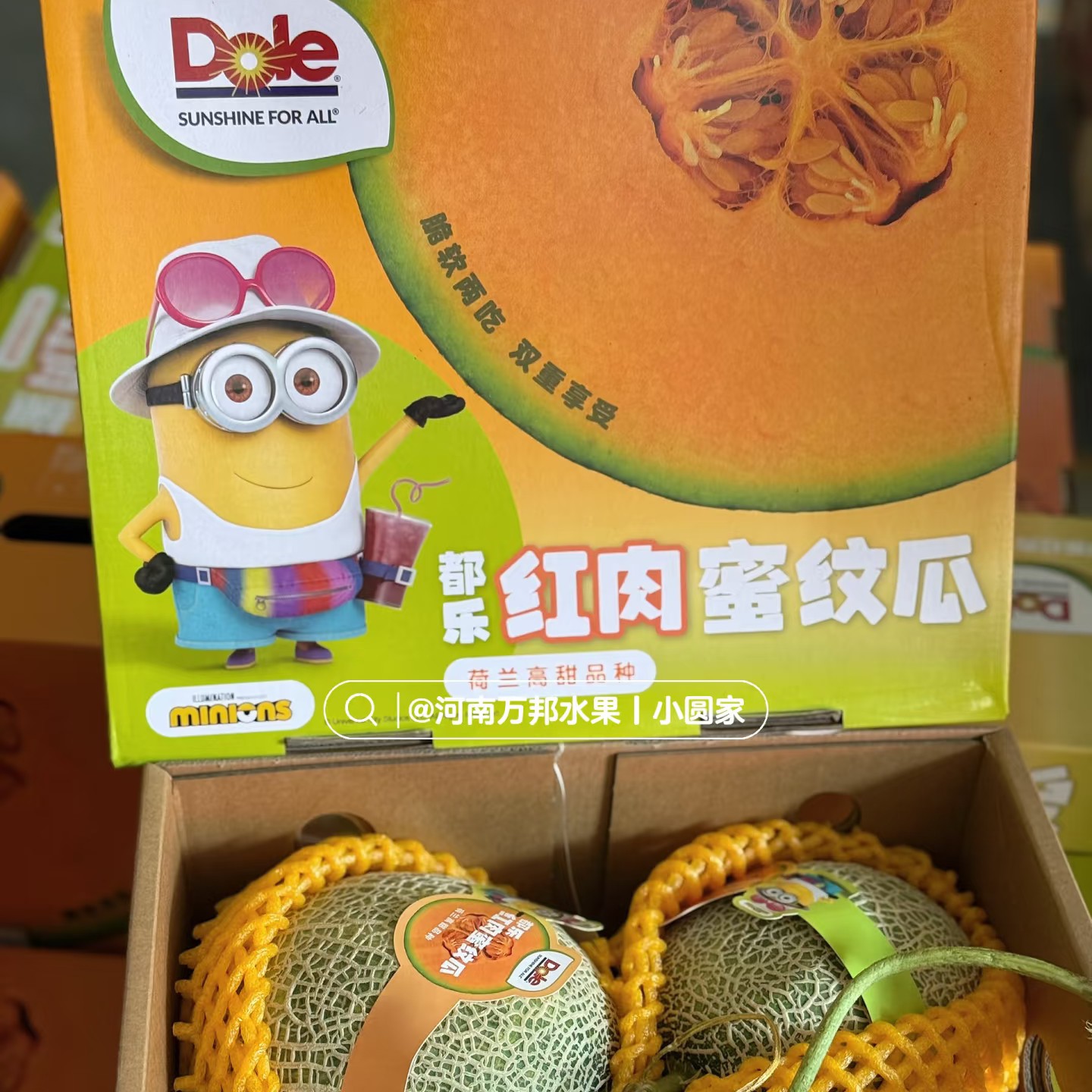 都乐红肉网纹瓜一箱4粒