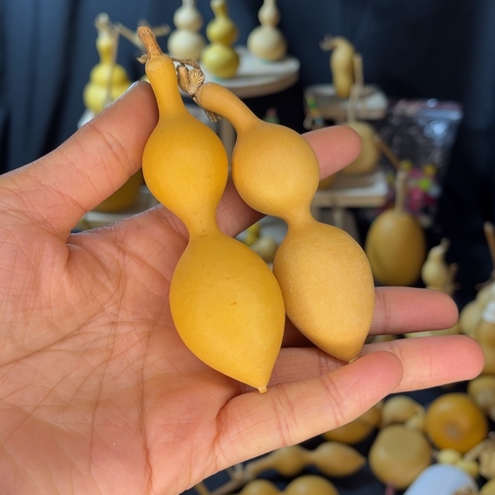 咕噜咕噜咕噜咕噜咕噜