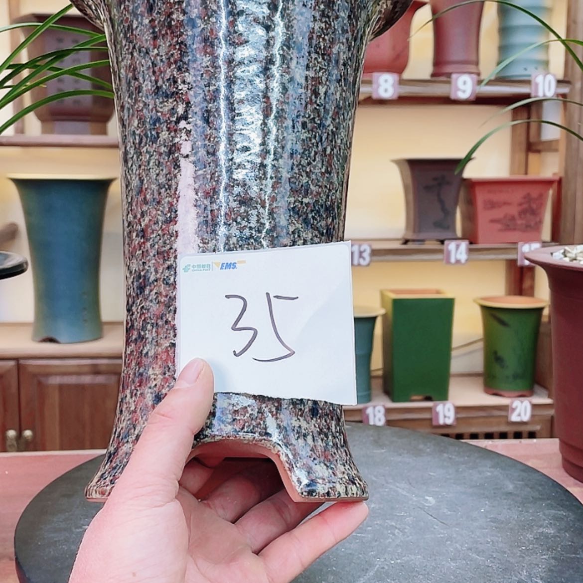 【闪购商品】紫砂花盆用****8兰花756688525587525585