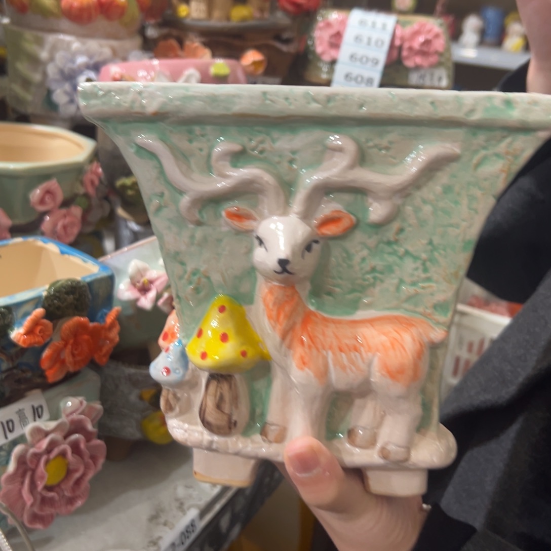 花盆，拍满20发货，退款拉黑