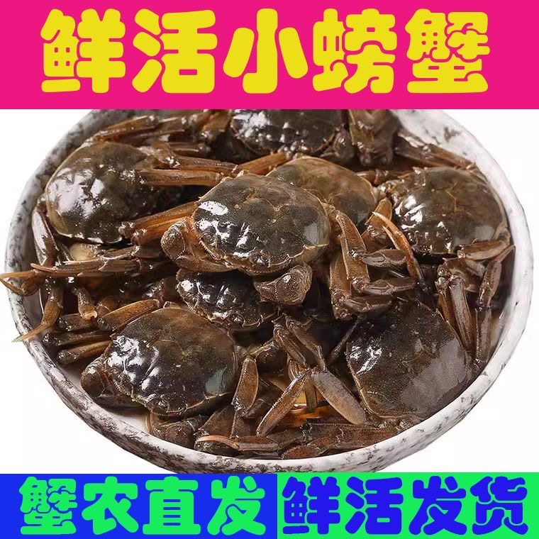 江苏鲜活一元蟹河蟹公母0.8两左右/只 顺丰冷链活蟹河蟹鲜活