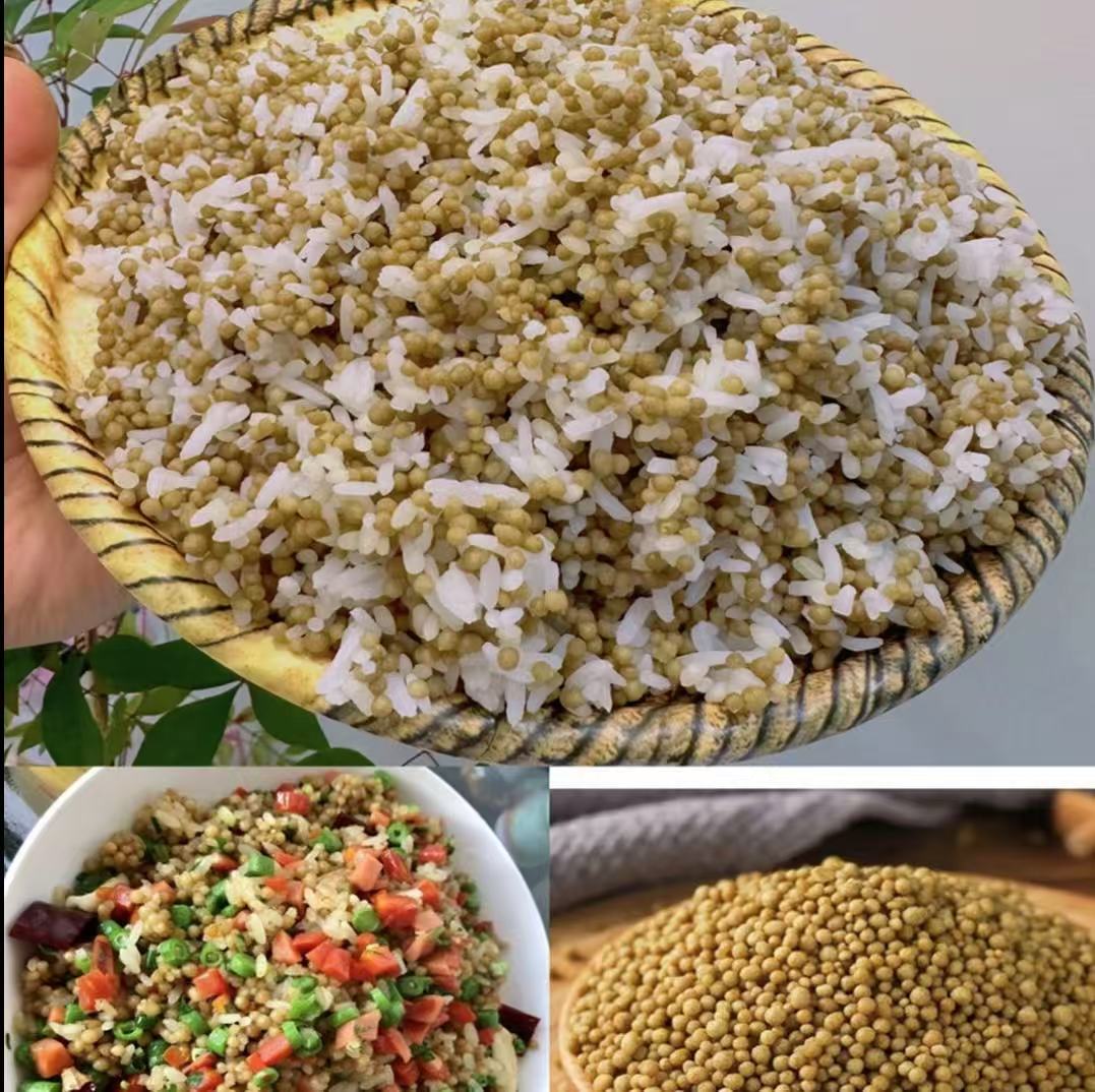 贵州特产威宁苦荞饭粗粮荞麦饭手工荞疙瘩饭低脂代餐杂粮饭