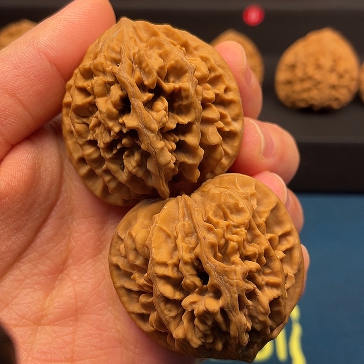 东***风手串/手链核桃哈俄加入魔唾沫星子我