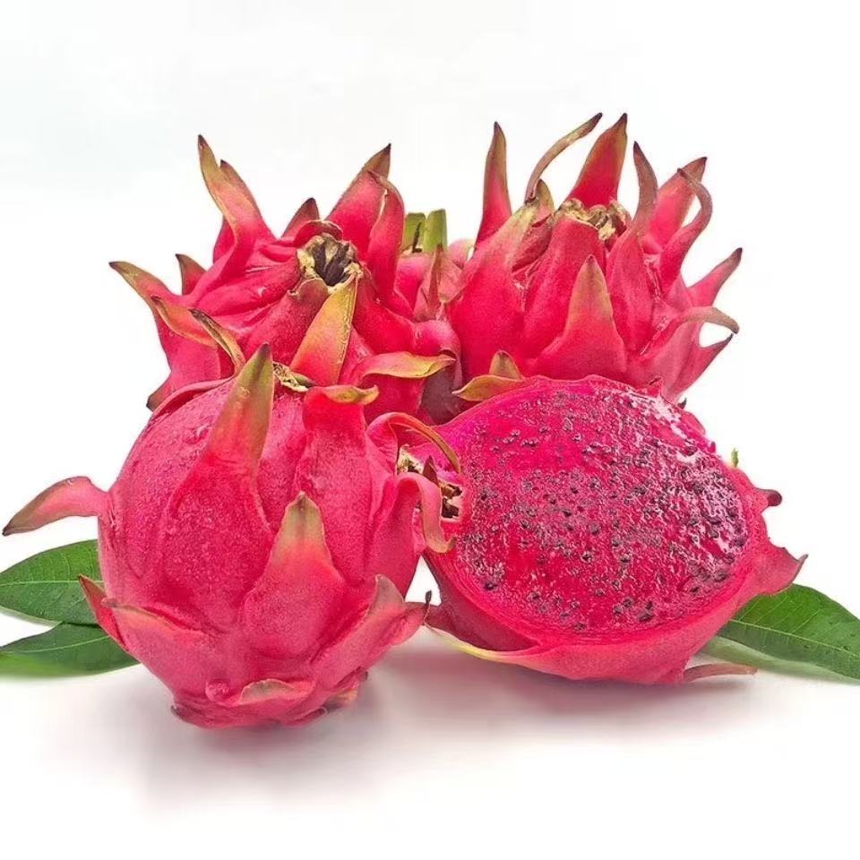 金都一号红心火龙果4.5-5斤精品小果