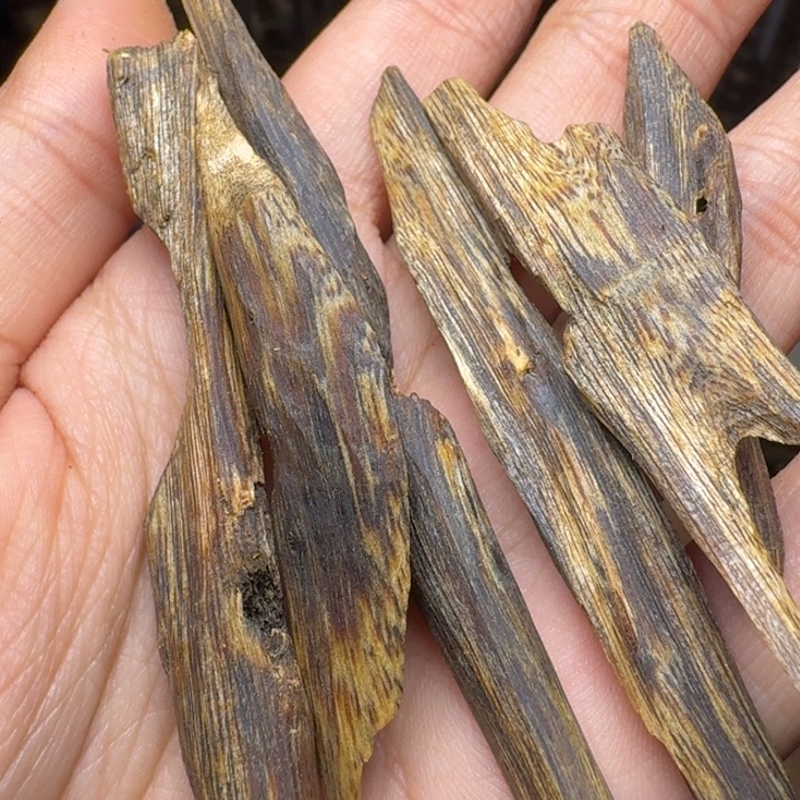 木海南陆河沉水浮块料