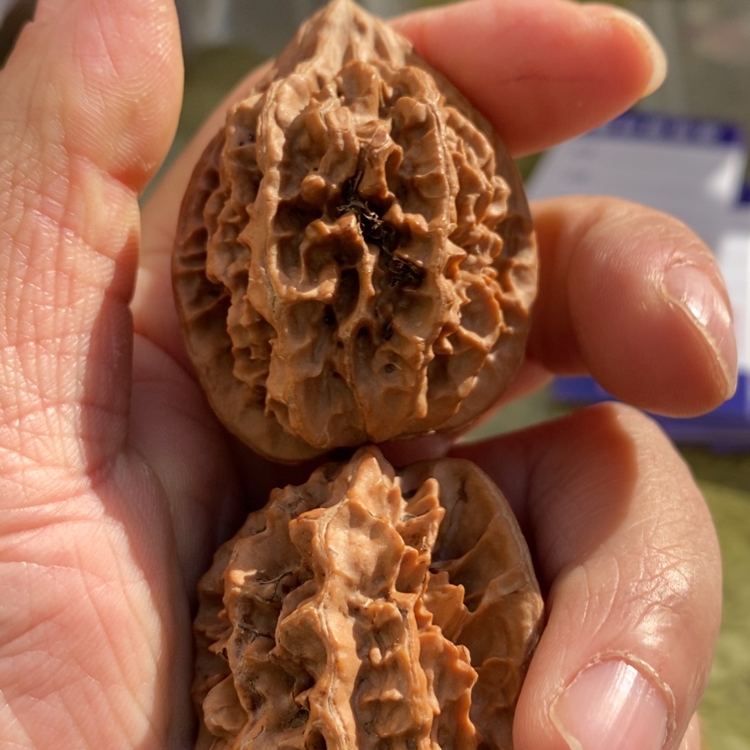 秦岭山脉东面临湖一带