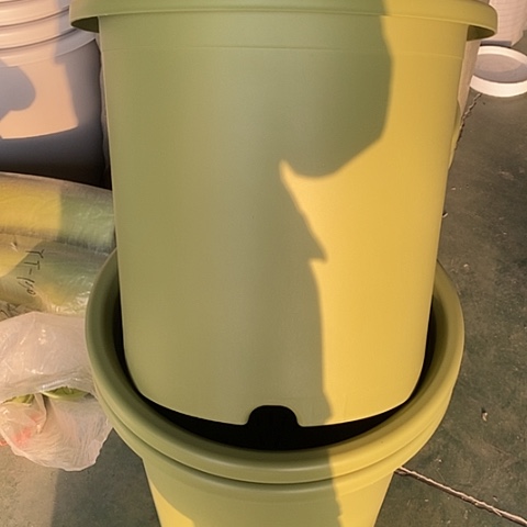 树脂口径55果绿2个无托