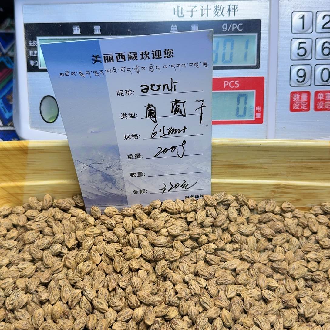 ˈ***i柏香籽/百香籽吊坠