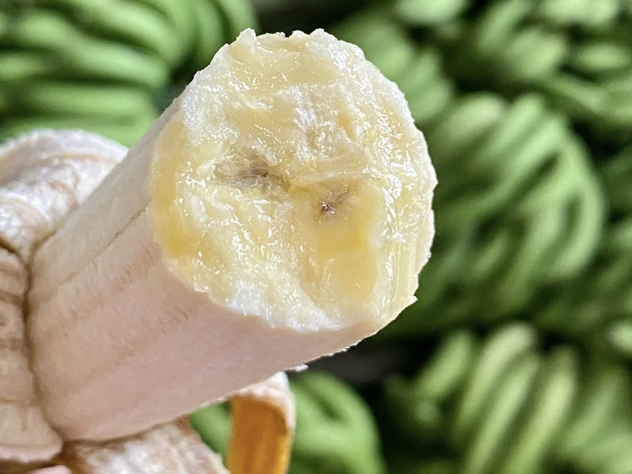 云南中缅边境赶集现收 新鲜香蕉 自家种植 健康好吃