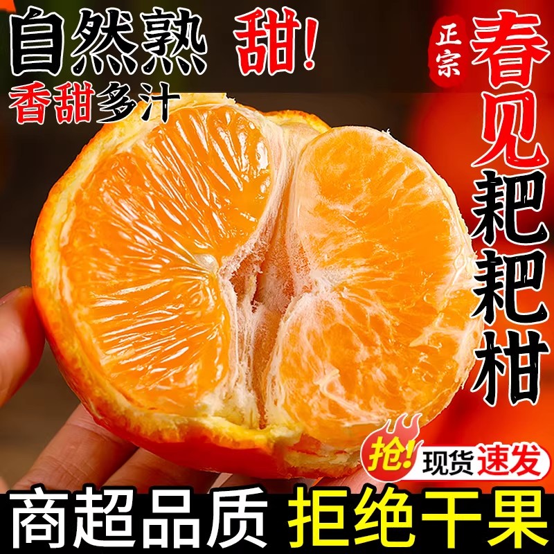 正宗四川春见耙耙柑新鲜水果当季整箱丑八怪橘子特级粑粑柑桔