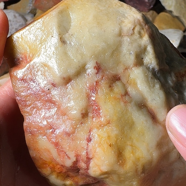 无***藏寿山石寿山石的种类