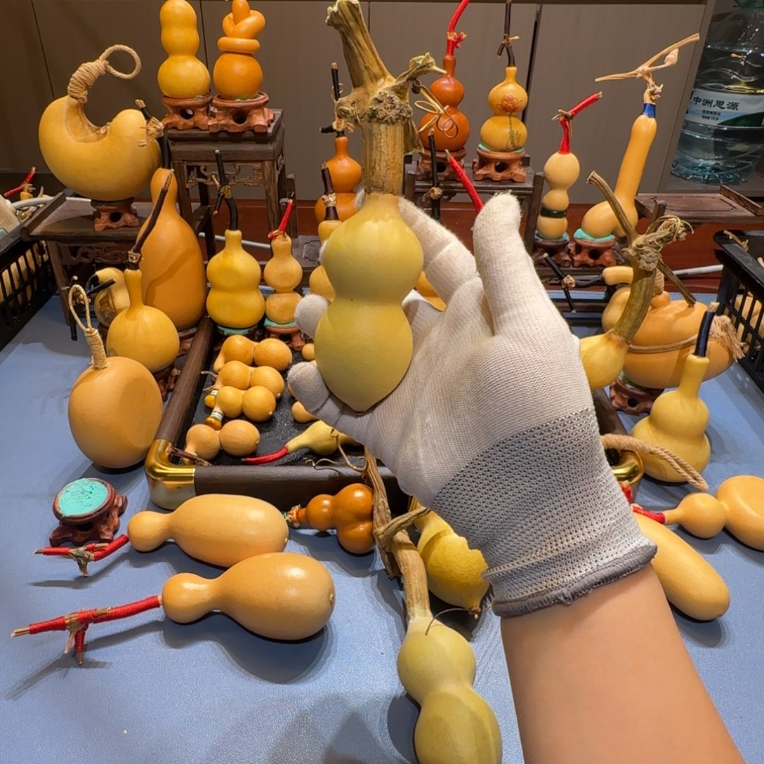 马***蝶葫芦啊啊啊啊啊啊啊啊啊啊啊