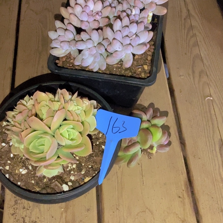 你也快回来吃饭哈