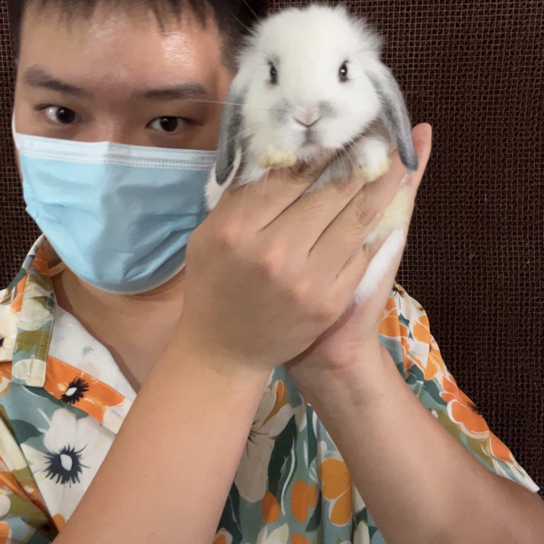 宠物11111111宠物
