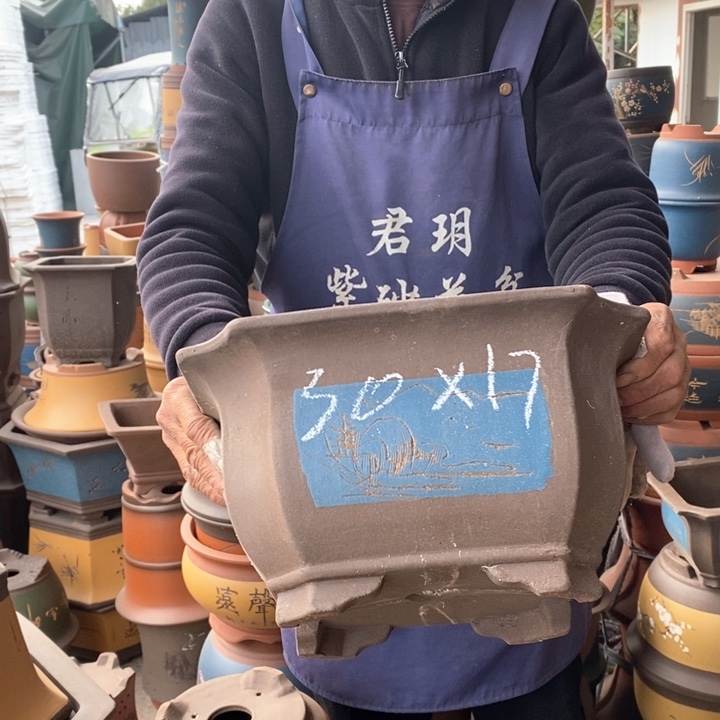 紫砂花盆盆栽花卉苗木种植