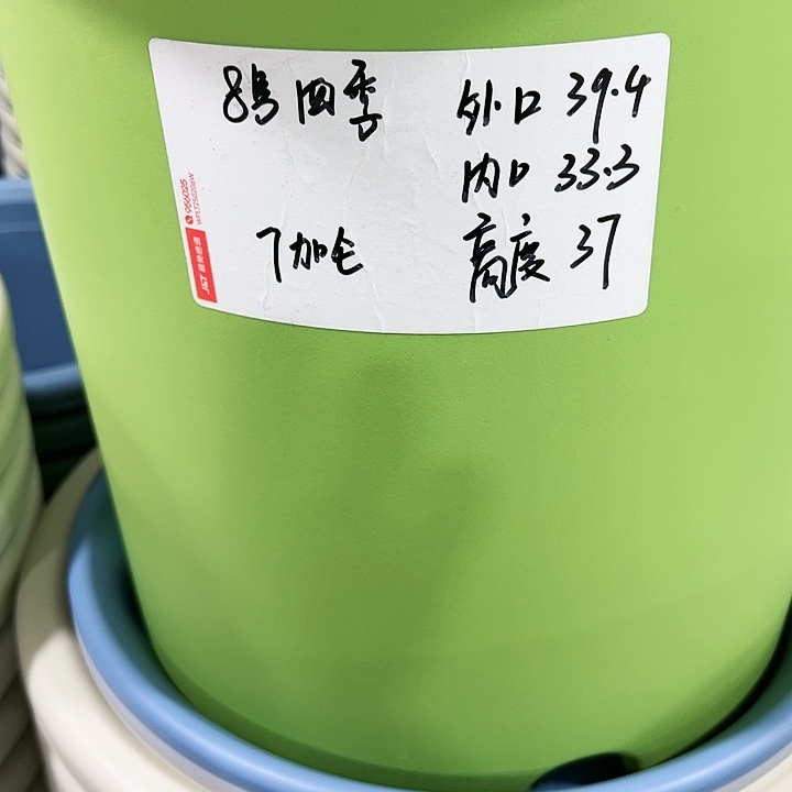 特价8号四季口39高37白色3个无托