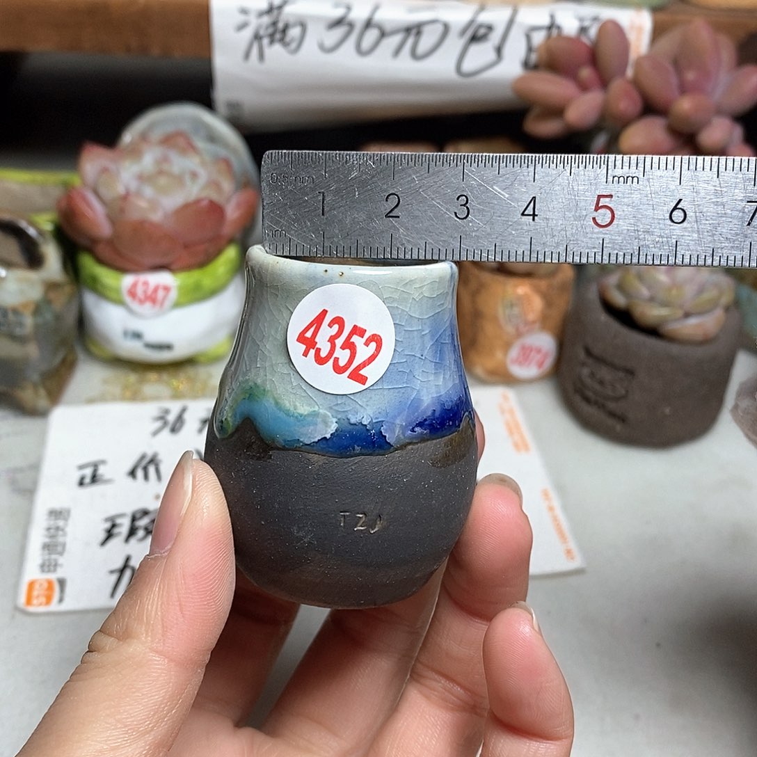 红陶拍5送一个小