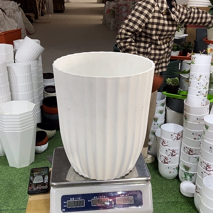 大竖纹口32白色3只无托包邮