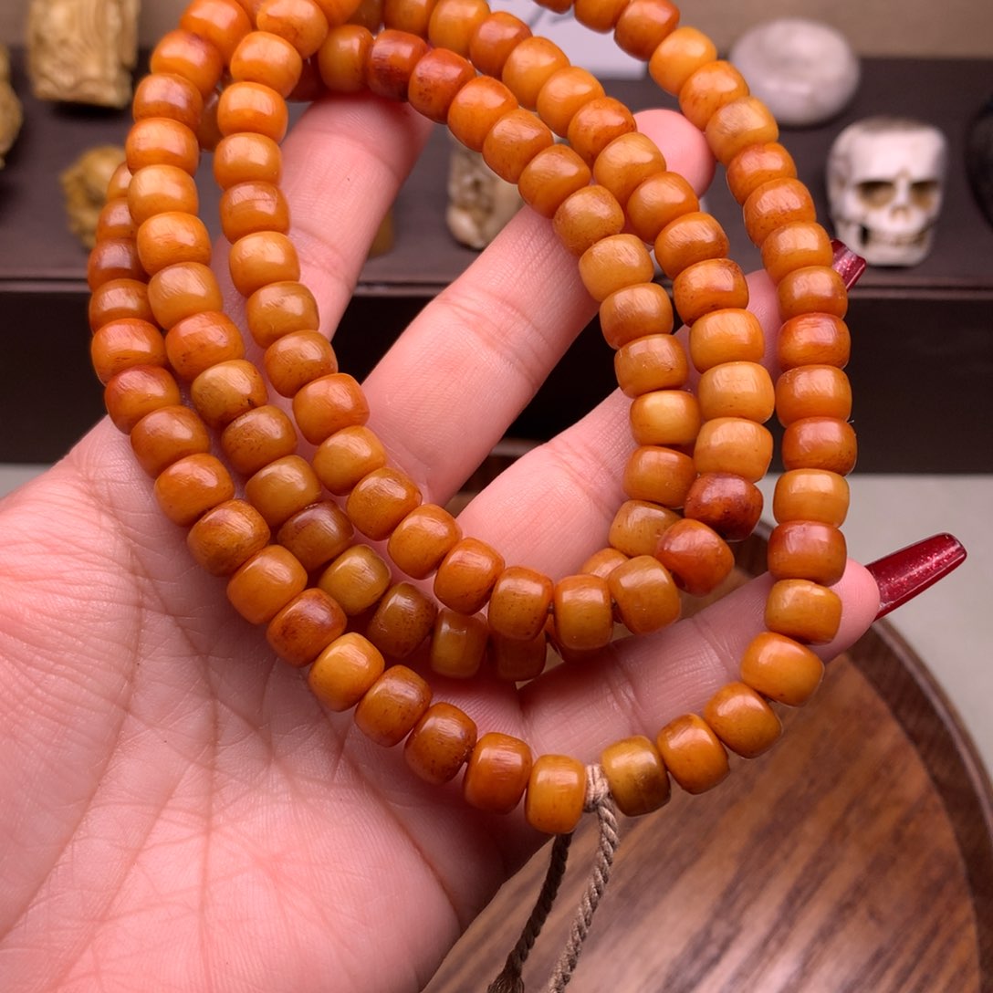 驼骨其他好看驼骨