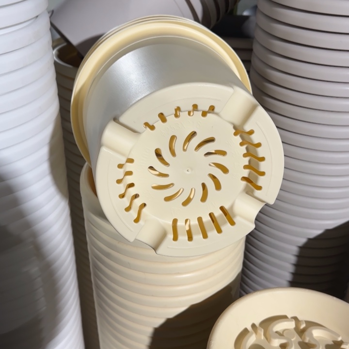 四季3号5个米黄5个果绿色口径21高18花盆