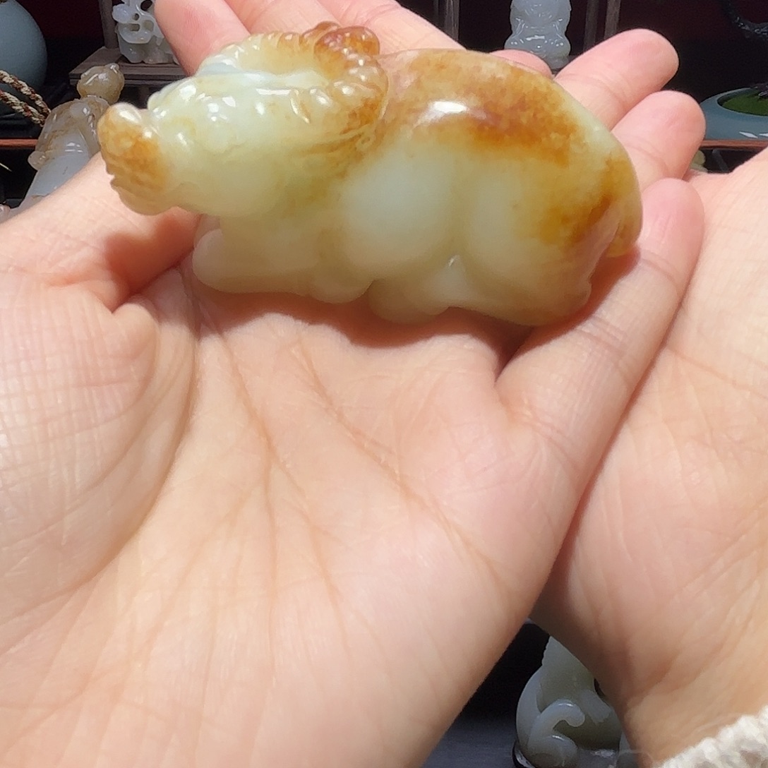 盘七天鉴赏期 一物一图 