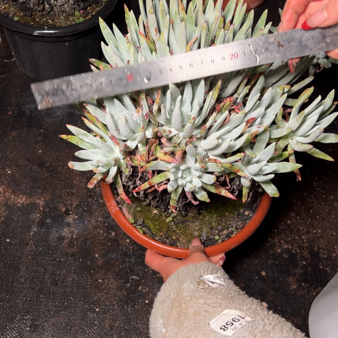 631哈哈哈哈哈哈哈哈