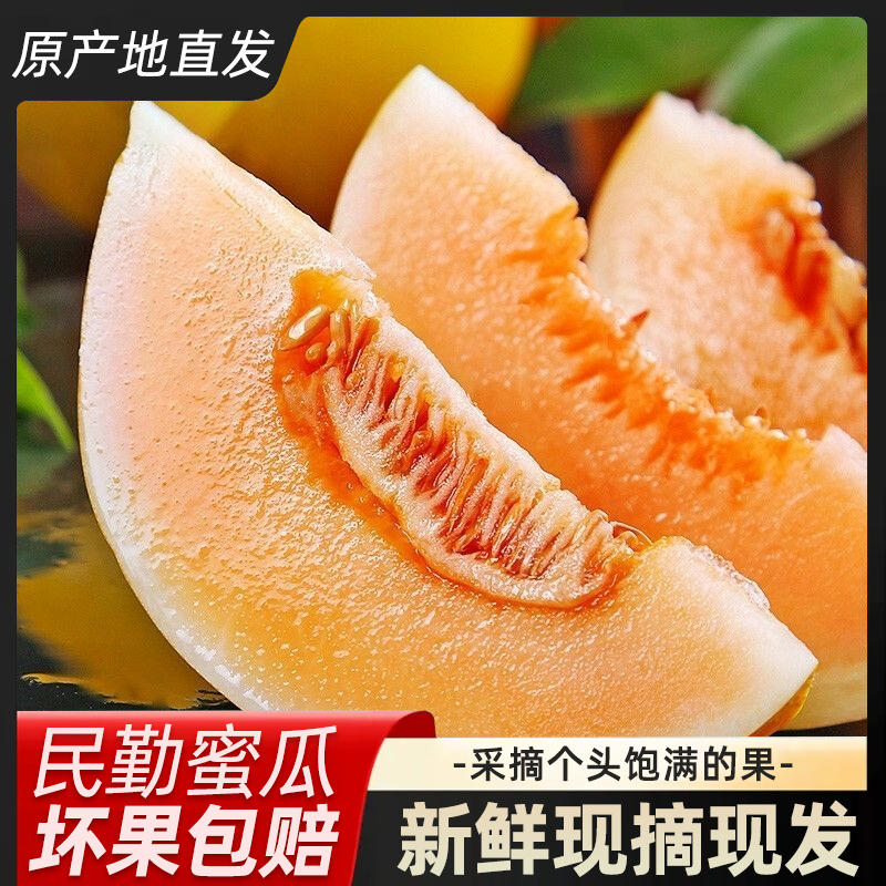 甘肃民勤沙漠蜜瓜金红宝甜瓜黄金蜜瓜带箱9-10斤  2-4个装