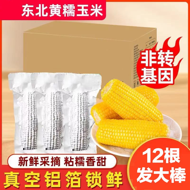 东北正宗黄糯玉米铝箔包装软糯香甜单支250g以上