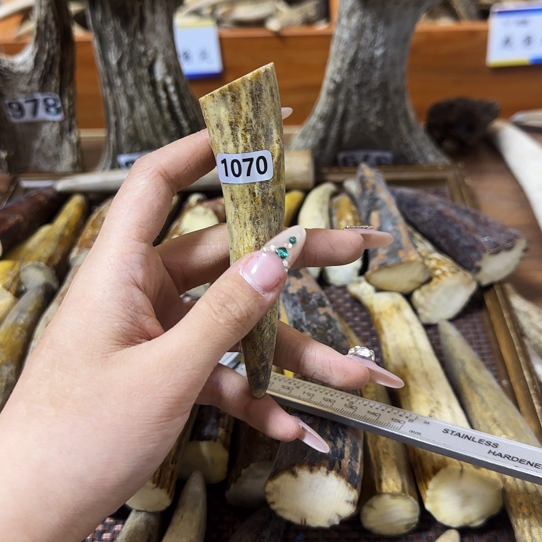 手串/手链鹿骨1070角尖