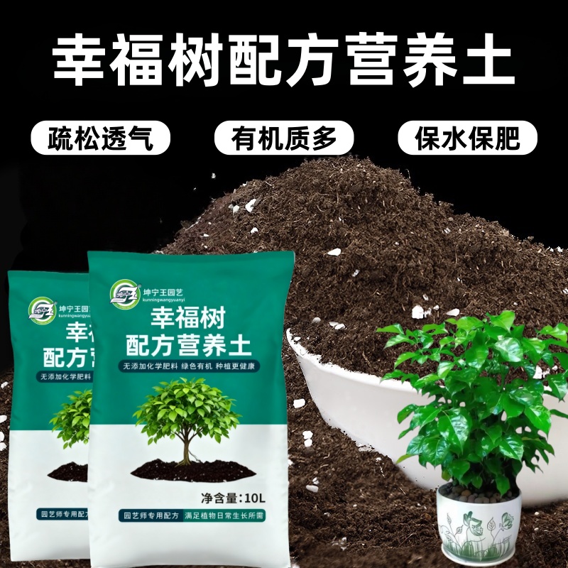 种幸福树专用腐殖土营养土绿植盆栽土种植土壤养幸福树有机腐殖土