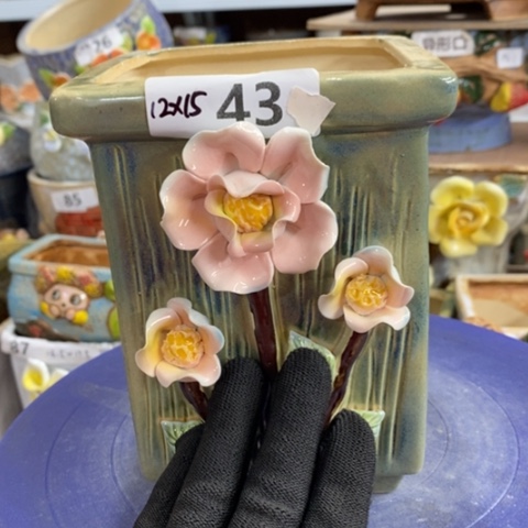 【闪购商品】红陶1