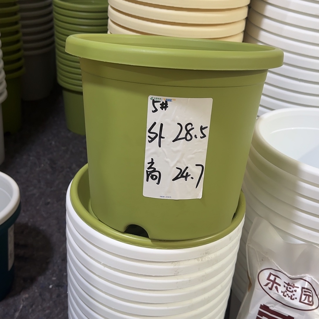 树脂四季5号无托3个果绿