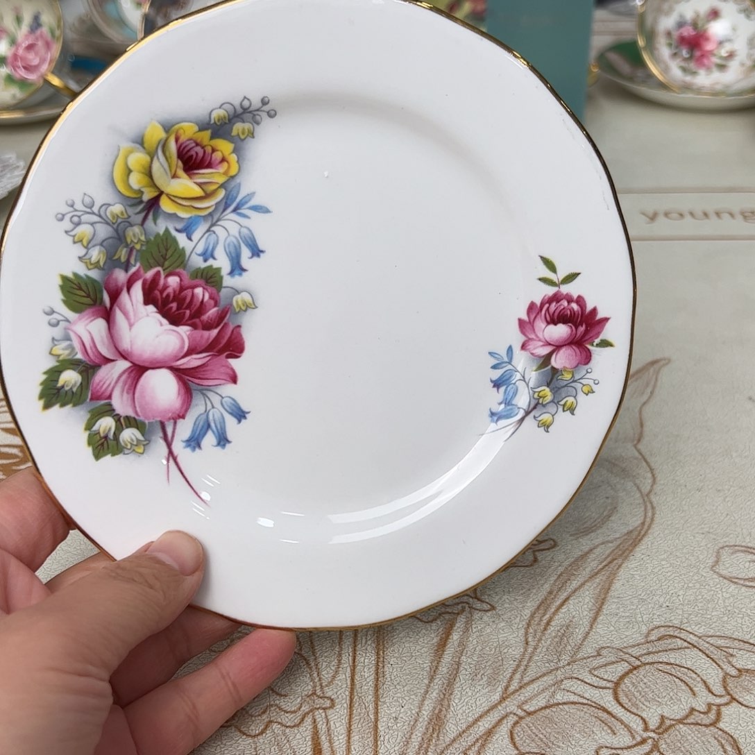 盘维多利亚欧洲中古