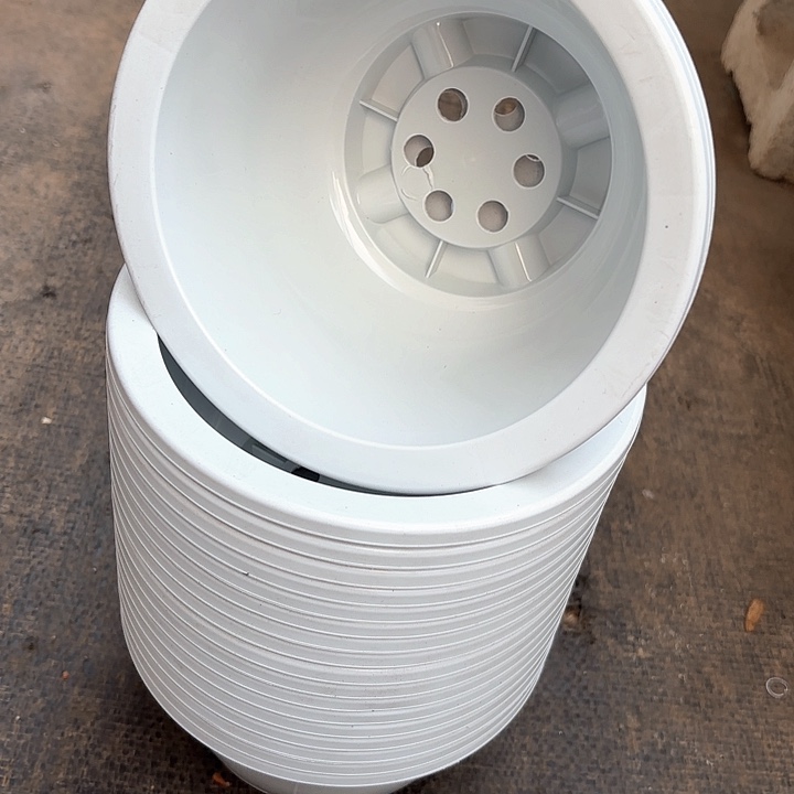 阿*16公分花开富贵盆10个