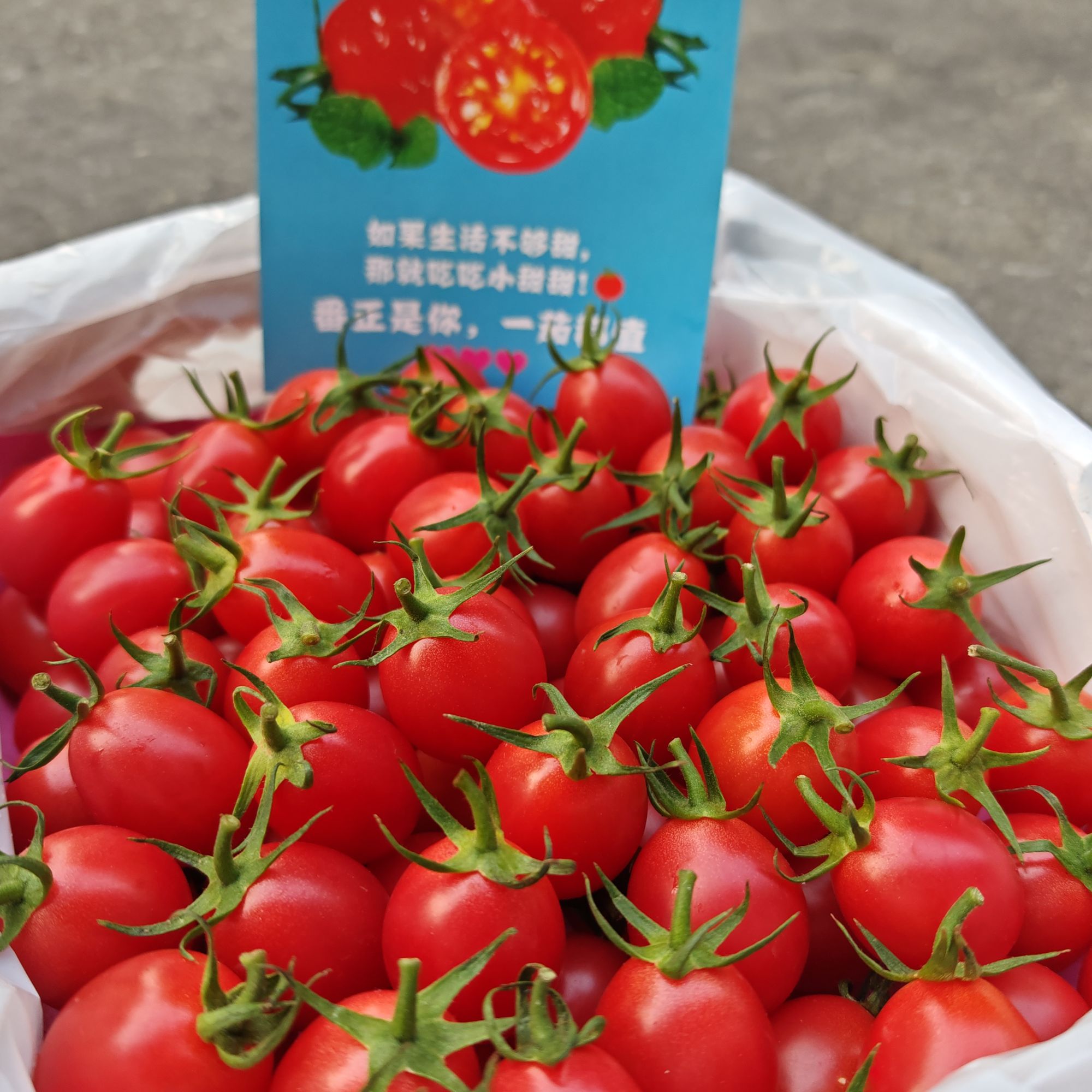 刘婆婆 千禧小番茄/圣女果 番茄味浓郁 礼盒包装 1件 双福发货 顺丰包邮