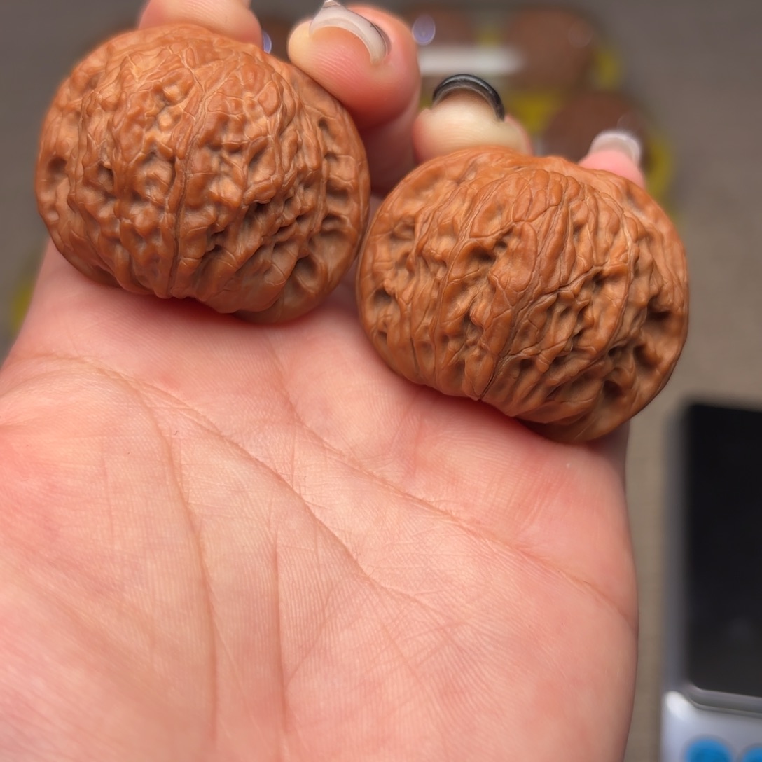 核***玩40+全品无修红皮山地正磨