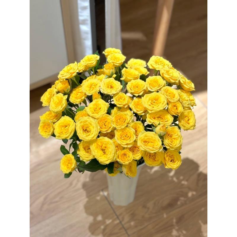 鲜花【梦幻芭比多头】同地址两单以上顺丰包邮送货上门+送配草1扎