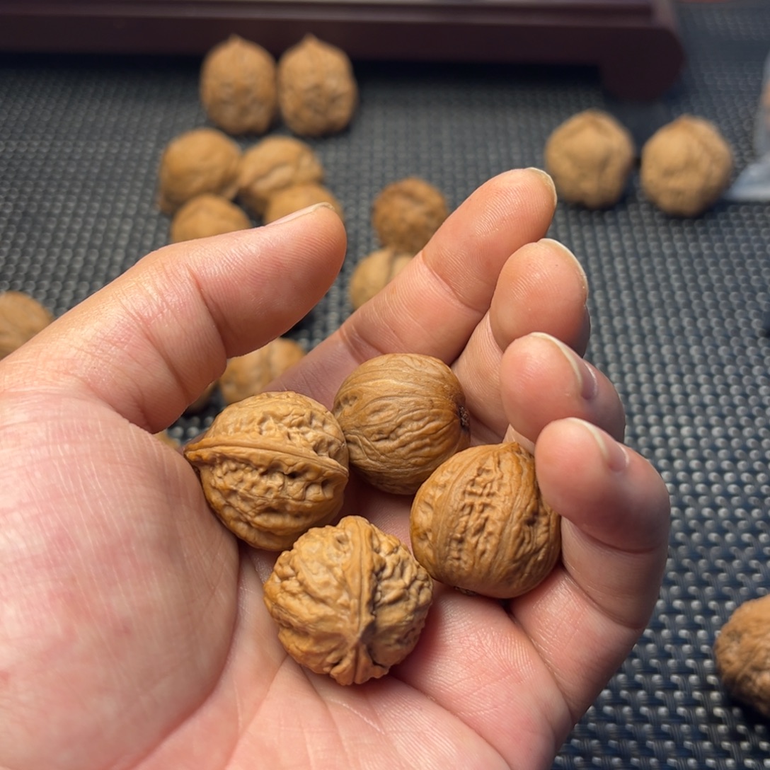 暴***兽文玩核桃把件西瓜和粗筋小八棱