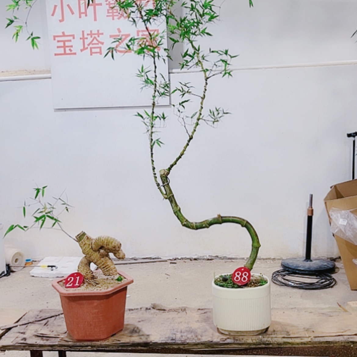 【闪购商品】完全开放通****馆