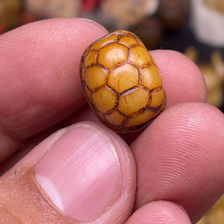 驼骨摆件人工养殖