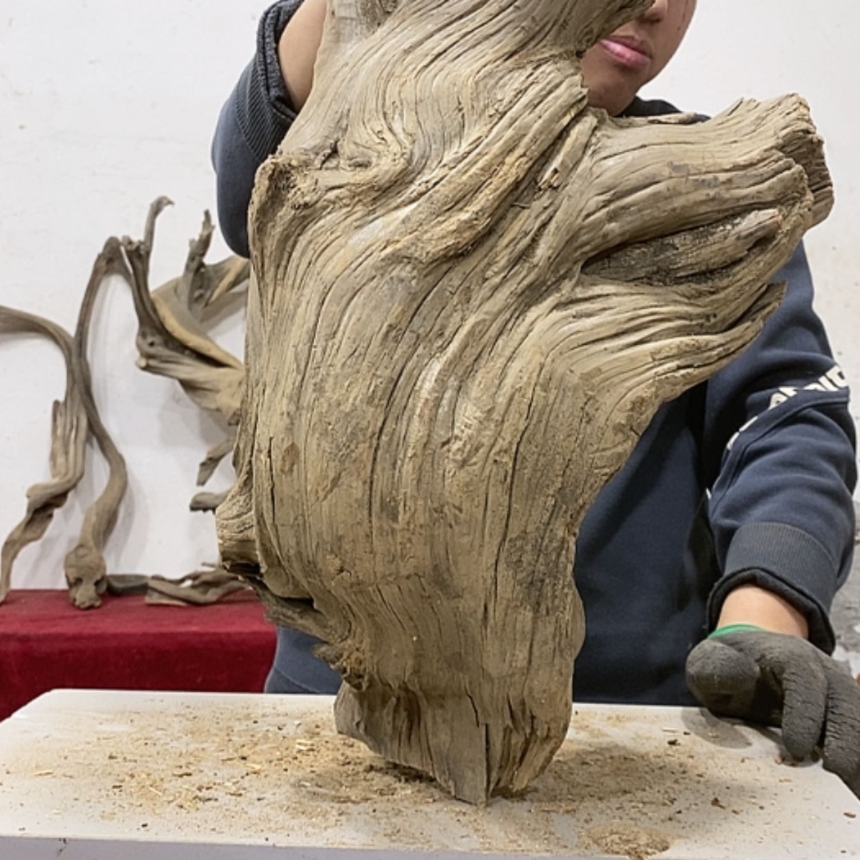 【闪购商品】柏木大*我们都是好孩子