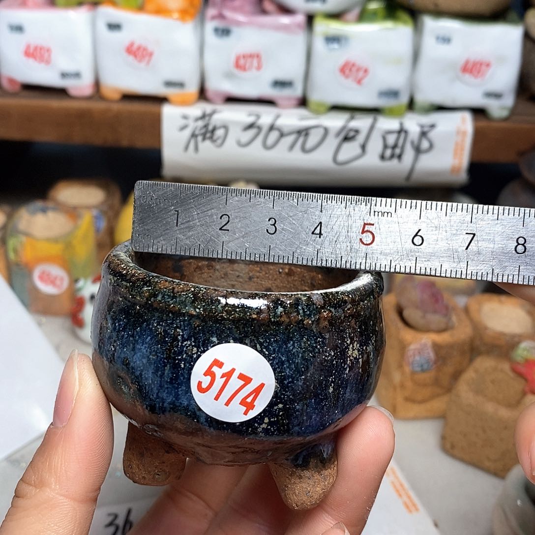 红陶拍5送一个小