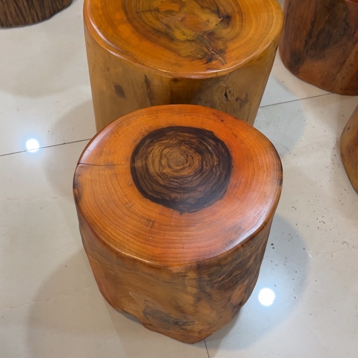 木知**难香樟木2个，高约40