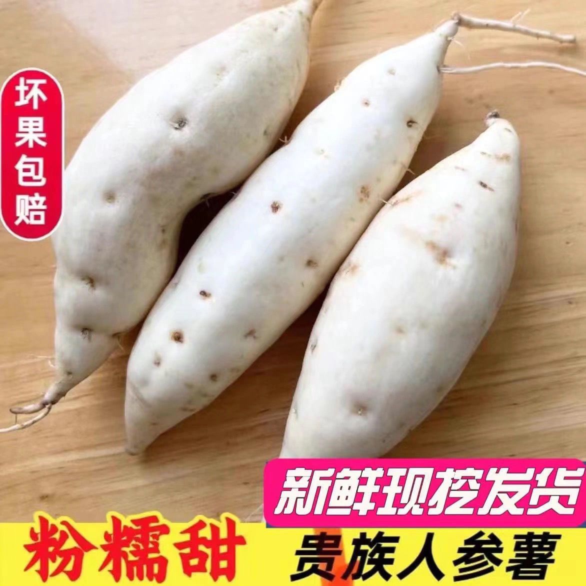 2025年正宗网红牛奶人参白皮白心板栗薯粉香面番薯现挖现发面干面
